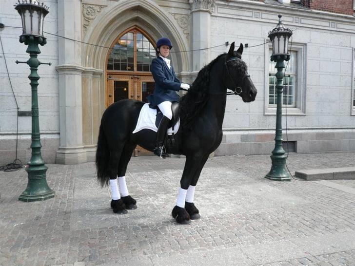 Frieser prince aflivet pga wobler billede 3