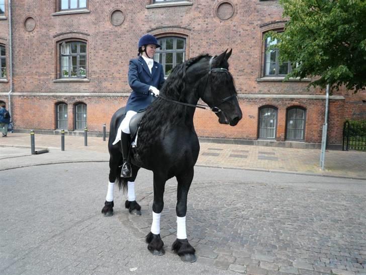 Frieser prince aflivet pga wobler billede 4
