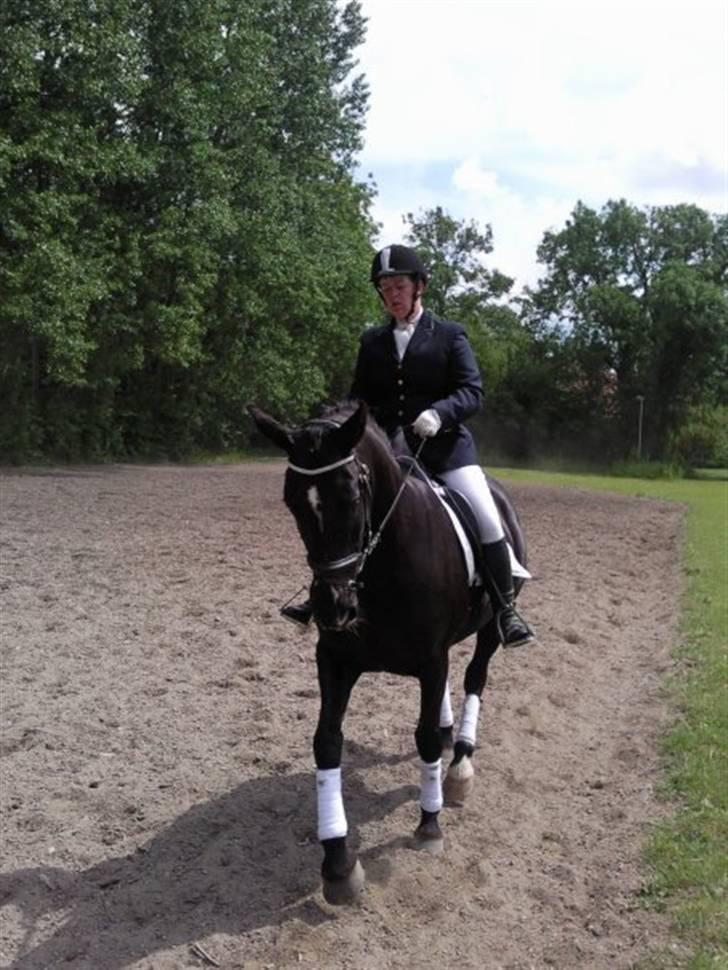 Oldenborg cherie billede 10