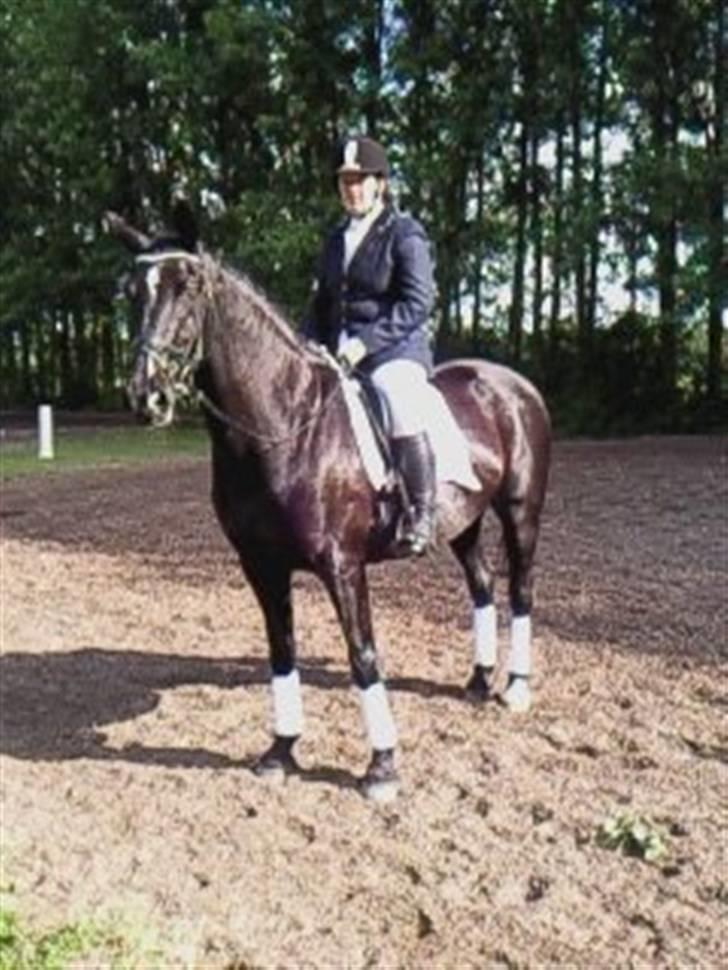 Oldenborg cherie billede 19