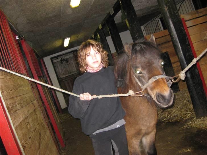 Anden særlig race Musse - Rideskole pony - Mig og Musse :) billede 7