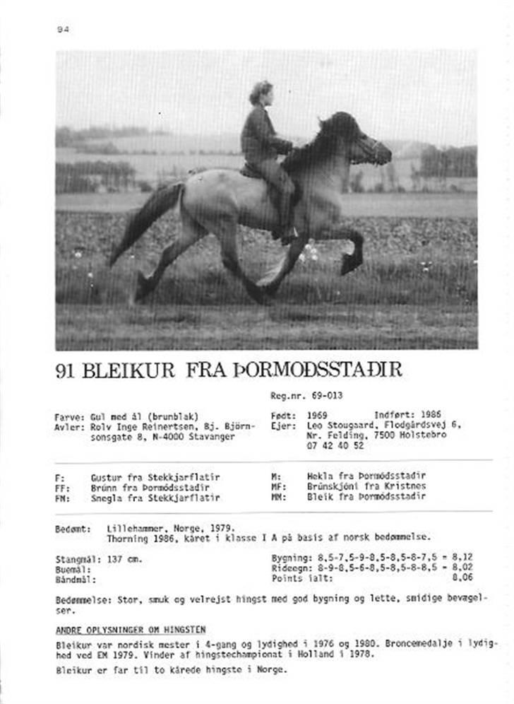 Islænder Kometa fra kyllingborg - Bleikur fra permodstadier er far til kometa billede 10