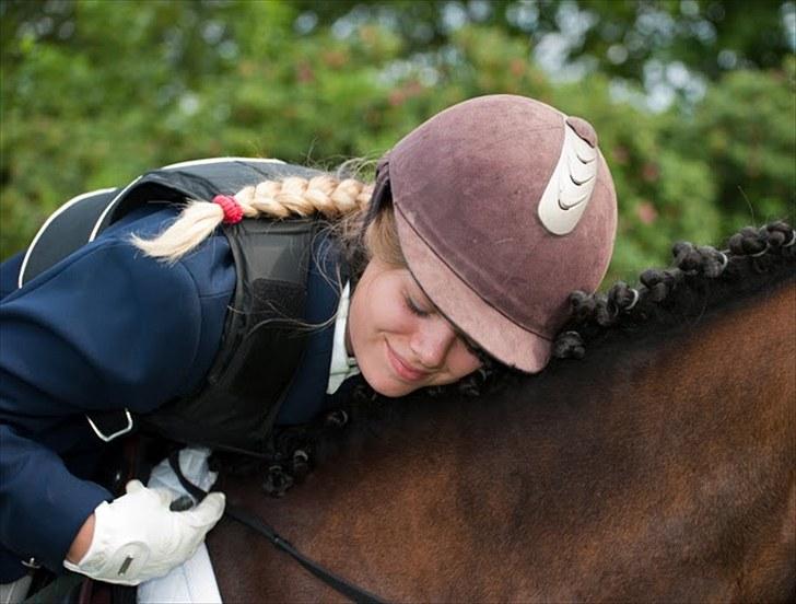 New Forest Feldholm's Penny - Jeg ville lyve, hvis jeg sagde, at jeg kunne klare at miste dig. billede 8