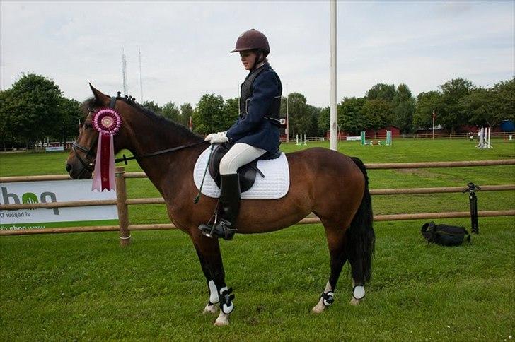 New Forest Feldholm's Penny - Det er sandt vi ikke ved hvar vi har, indtil vi mister det. Men det er også sandt at vi ikke ved hvad vi har savnet, indtil det ankommer.<3 billede 17