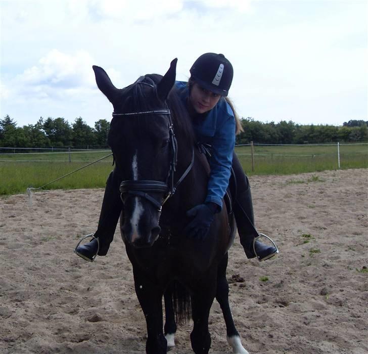 Dansk Varmblod Mata - hari *Savnet* - Træning d 8/6-09 -- vi gør fremskridt :D Se album for flere billeder :) billede 3