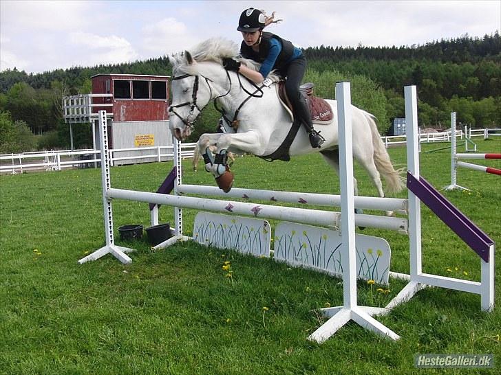 Anden særlig race Sir Camelot - spring træning d. 19 maj 2010 :) foto: Mia grønning<3 billede 11