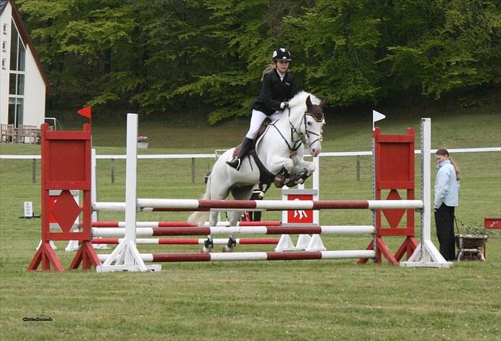 Anden særlig race Sir Camelot - morsø 2010 :´D foto: Christina Dosenrode billede 14