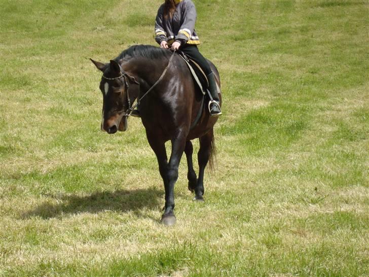 Oldenborg Sasha    R.I.P billede 6