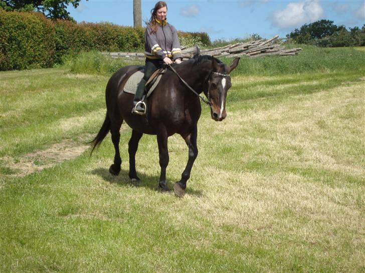 Oldenborg Sasha    R.I.P billede 7