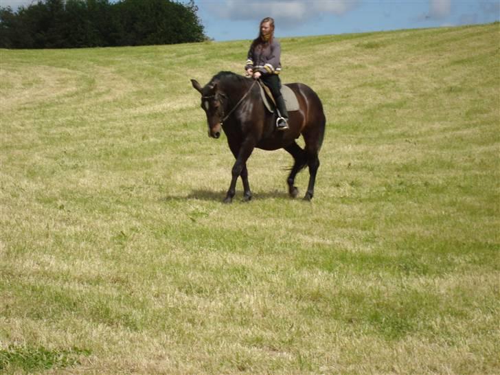 Oldenborg Sasha    R.I.P billede 8