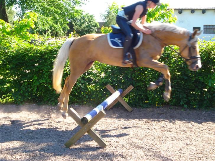 DSP Elvira Wales billede 18