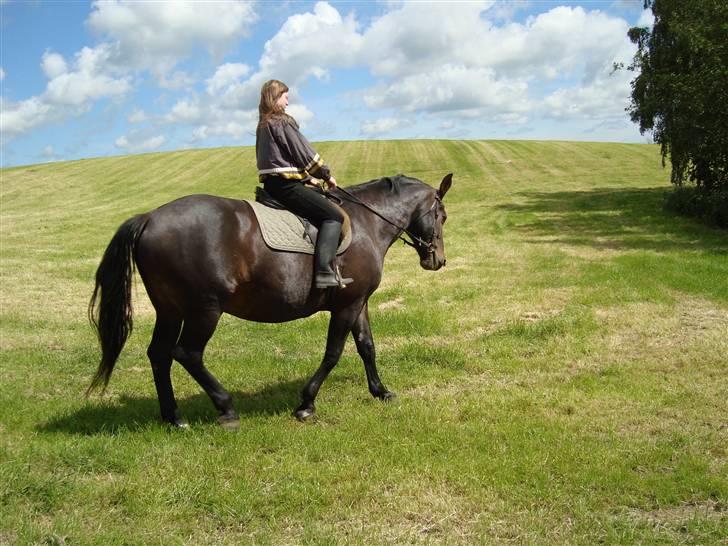 Oldenborg Sasha    R.I.P billede 10