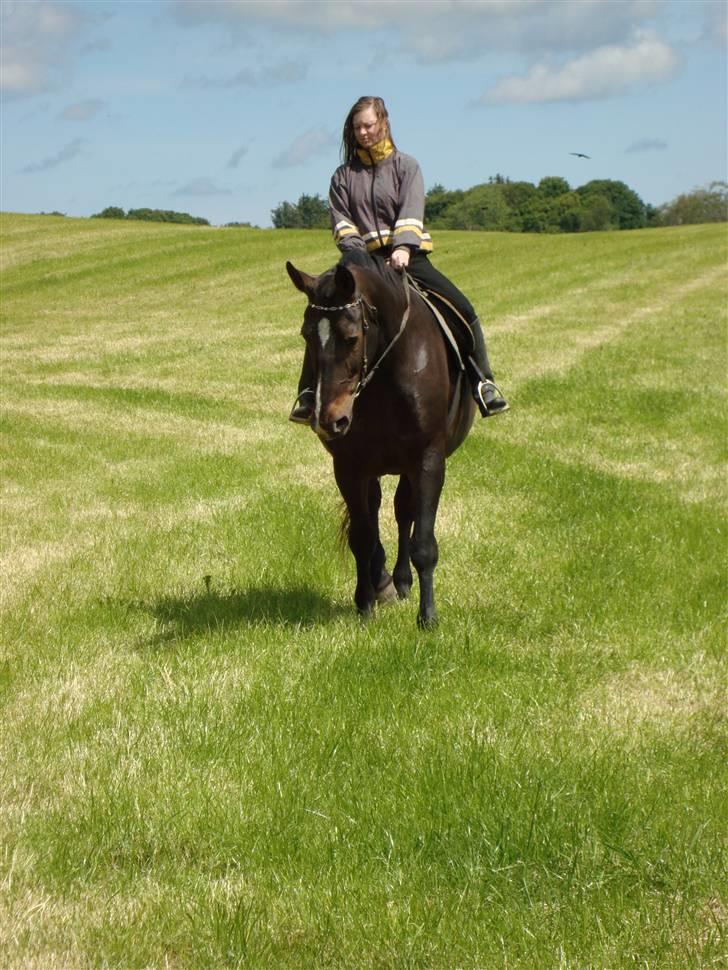 Oldenborg Sasha    R.I.P billede 14