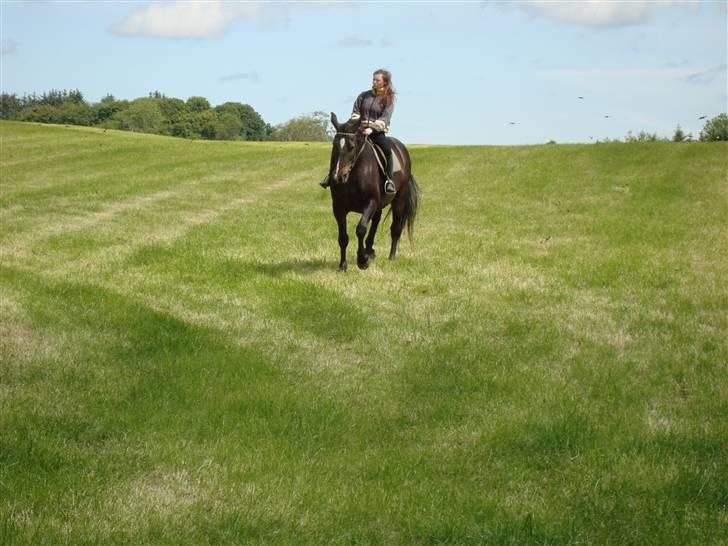 Oldenborg Sasha    R.I.P billede 15