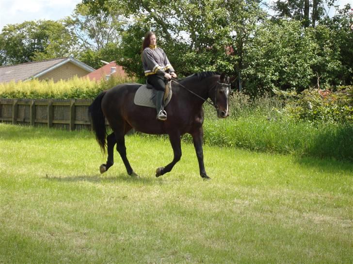 Oldenborg Sasha    R.I.P billede 18