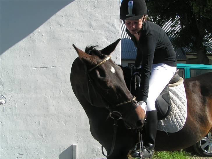 Anden særlig race Stella [elev pony] - Har du ik en godbid? ;S  Billede taget af Nana ;) billede 17