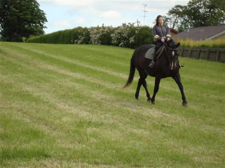 Oldenborg Sasha    R.I.P billede 20