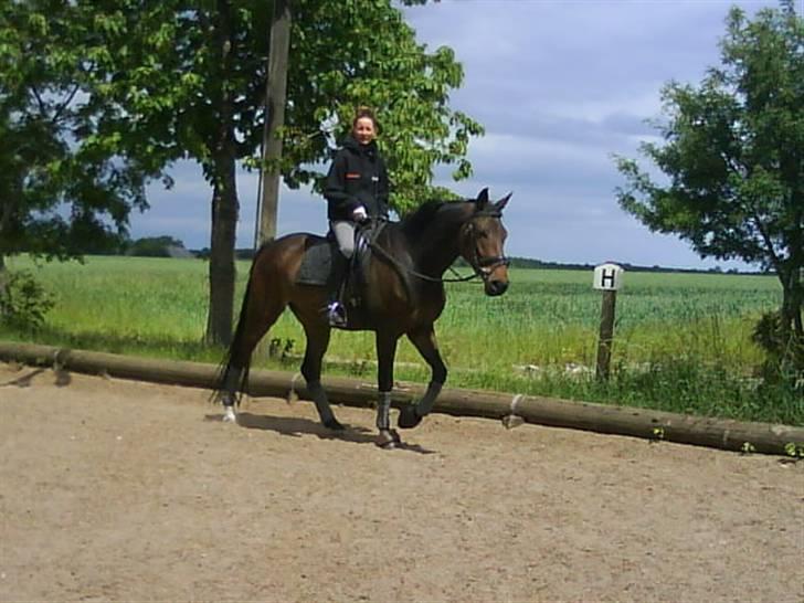 Anden særlig race Tornado<´3 (SOLGT) :´( billede 6