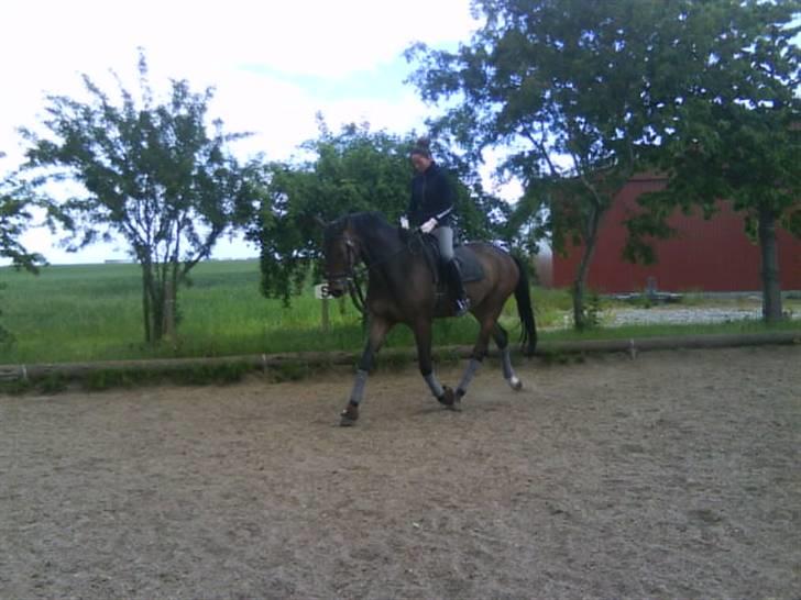 Anden særlig race Tornado<´3 (SOLGT) :´( billede 7