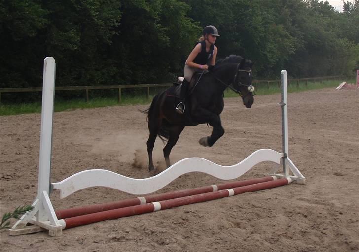 Oldenborg Lille My  - spring <3¨ billede 10