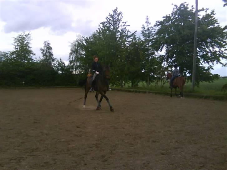 Anden særlig race Tornado<´3 (SOLGT) :´( billede 8