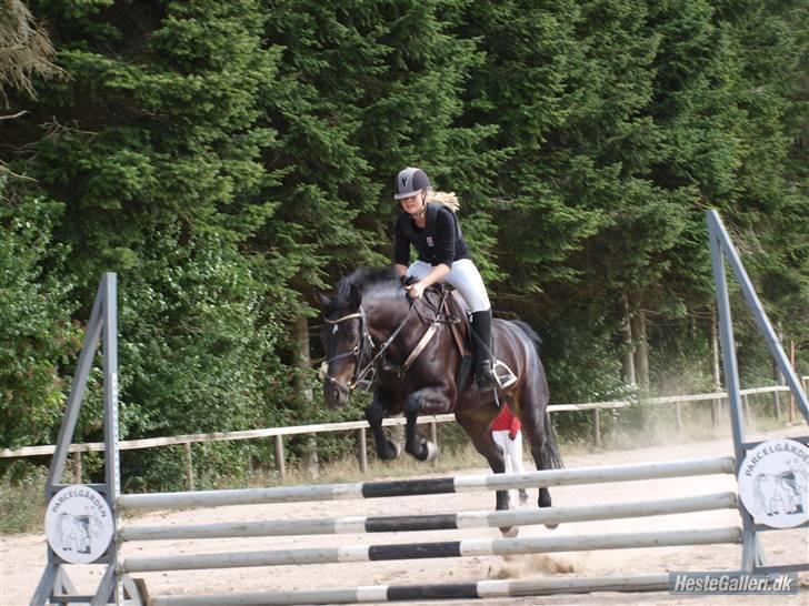 Oldenborg Lille My  - <3 billede 11