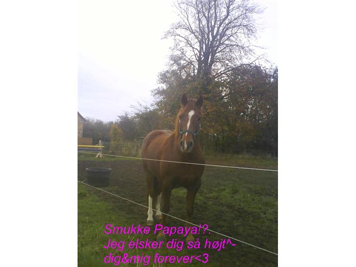 {{currentPhoto.altText}} billede {{currentPhoto.number}}