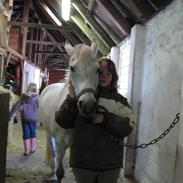 Anden særlig race Silas ( rider på den).