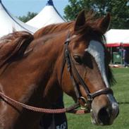 DSP Hoopers Creek (Part)