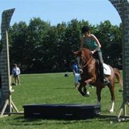 DSP Hoopers Creek (Part)