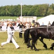 Frieser Okke Van´t Kempke