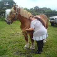 Jyde Engbjerg Claus *SOLGT