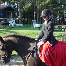 Anden særlig race Bella *SOLGT*