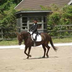 Anden særlig race Bella *SOLGT*