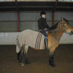 Anden særlig race Rosita ' R.I.P ' <3 :(