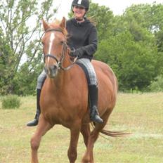 Frederiksborg Signe Lysdal