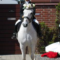 Anden særlig race Konvaljens Flipper 