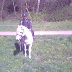 Anden særlig race Konvaljens Flipper 