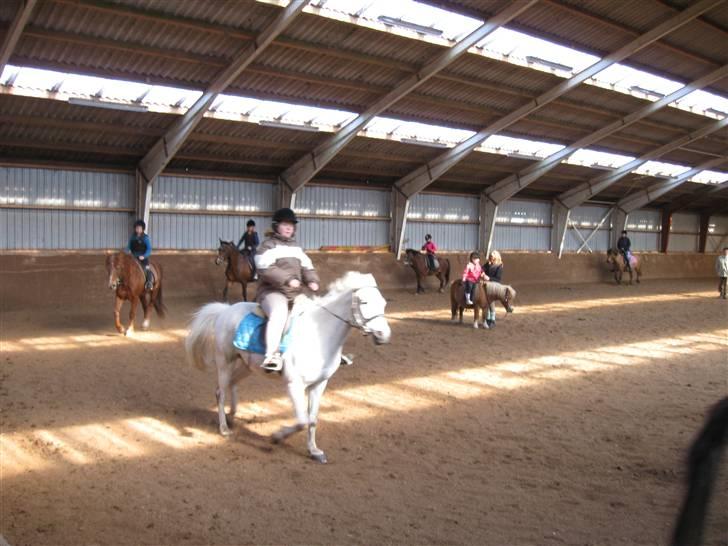Anden særlig race Silas ( rider på den). - nr:7jeg rider på silas billede 7