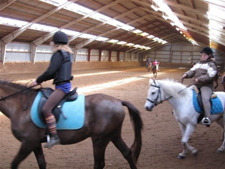 Anden særlig race Silas ( rider på den). - nr:8helu kommer lige med inde i billedet mig bage ved billede 8