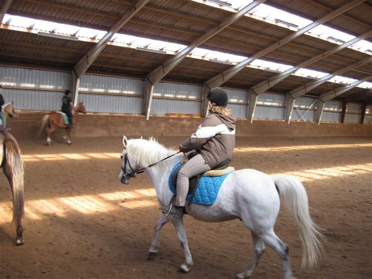 Anden særlig race Silas ( rider på den). - nr:9søde silas og mig  billede 9