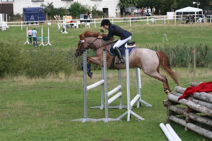 Hollandsk Sportspony Magic Spirit - solgt :'( - Sabine og spirit  billede 8