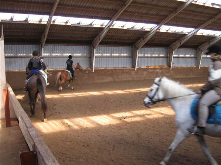 Anden særlig race Silas ( rider på den). - nr:10sløret billede øv billede 10