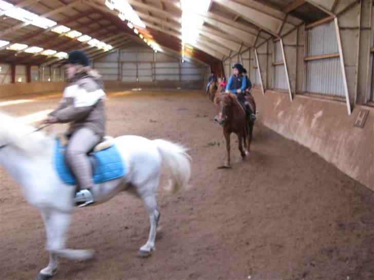 Anden særlig race Silas ( rider på den). - nr:12sløret billede øv billede 12
