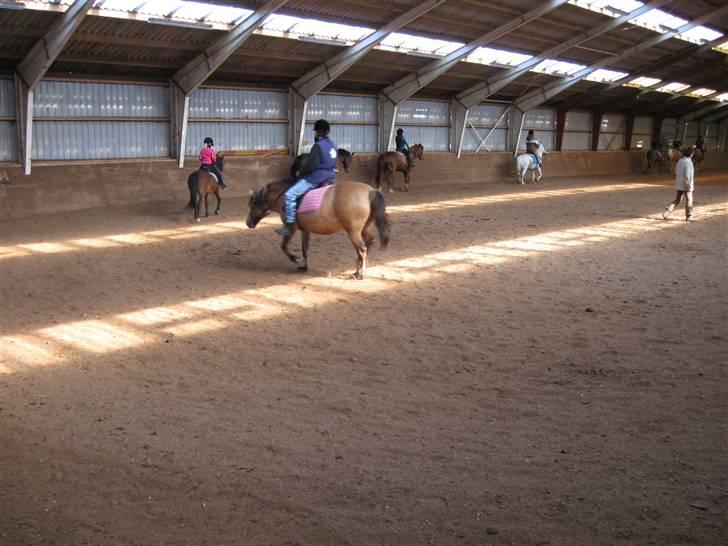 Anden særlig race Silas ( rider på den). - nr:13mig helt oppe på den hvide hest billede 13