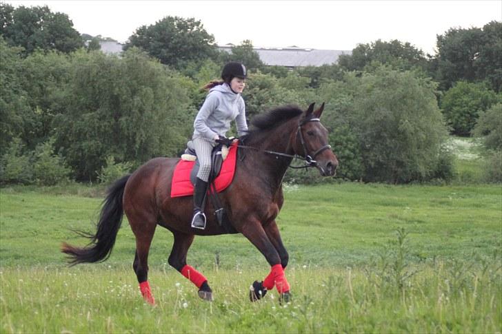 Oldenborg Tootsie - Elsker dig skat! Aldrig uden dig!;*<3 {Foto: Annabell} billede 12