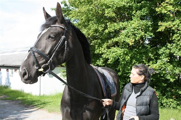 Oldenborg Damshauges Ferrai - R.I.P. billede 19