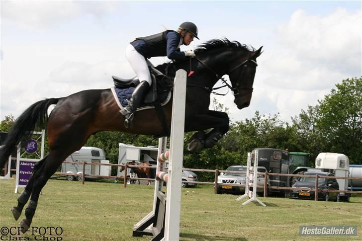Oldenborg O'malley  - stævne på AGR lb og la.Taget af clara chop billede 15