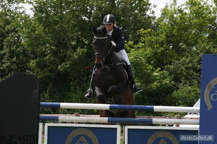 Oldenborg O'malley  - stævne på AGR lb og la.Taget af clara chop billede 16