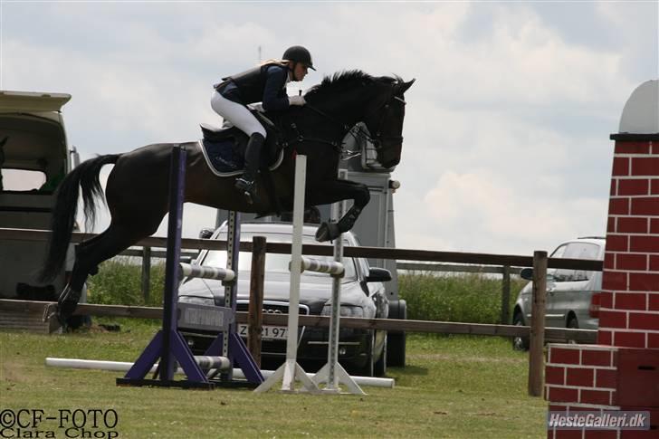 Oldenborg O'malley  - stævne på AGR lb og la.Taget af clara chop billede 17